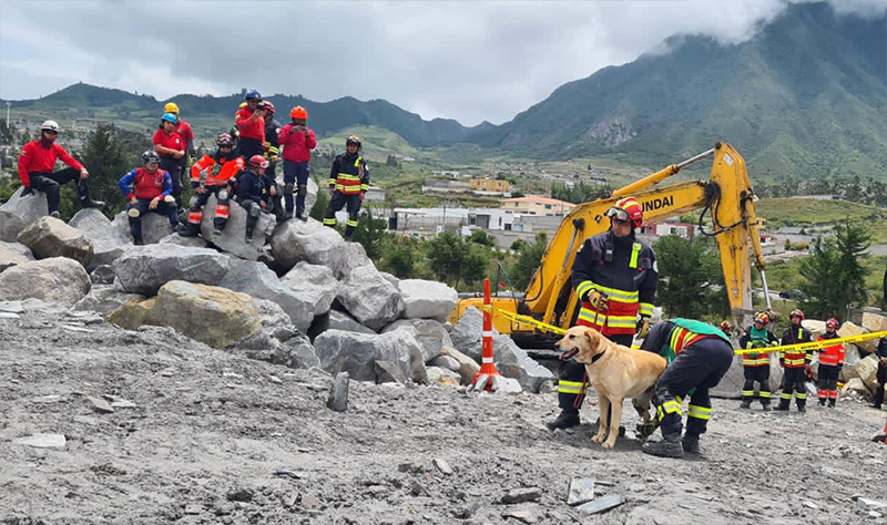 boletin_canino.jpg