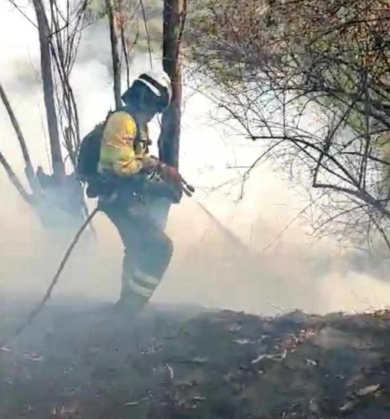 CONTINÚAN LOS TRABAJOS PARA CONTROLAR EL INCENDIO FORESTAL EN GUÁPULO